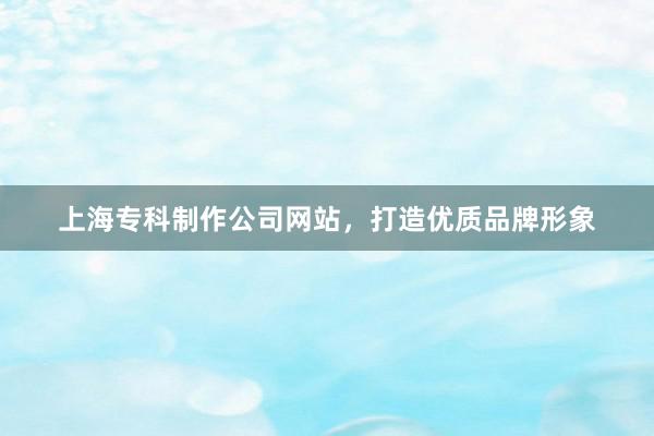 上海专科制作公司网站，打造优质品牌形象